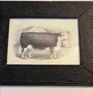 Framed Vintage Cow Illustration